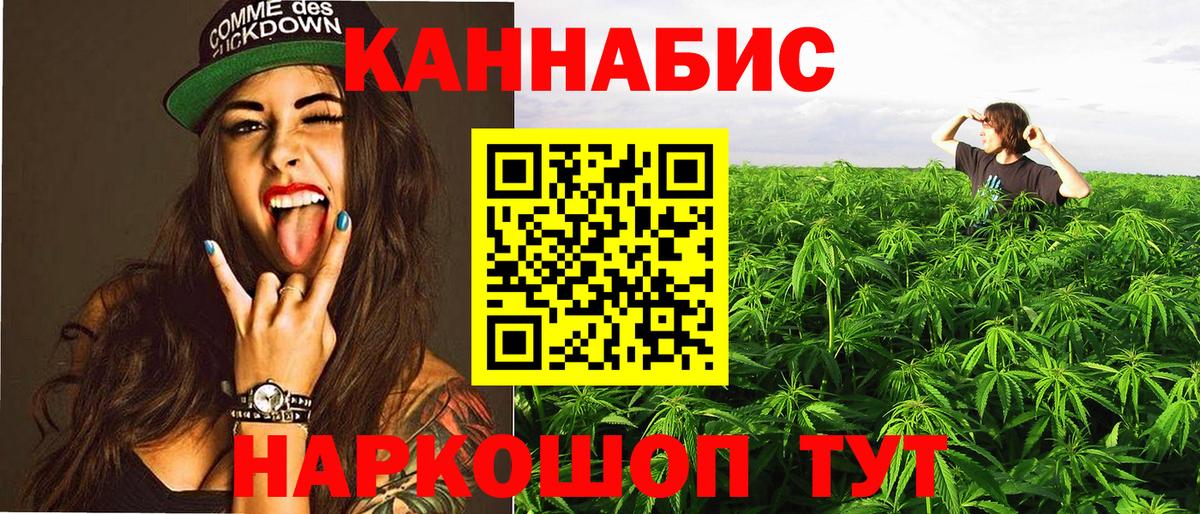 Бошки марихуана OG Kush Омск